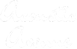 Acoustic Avenue Band